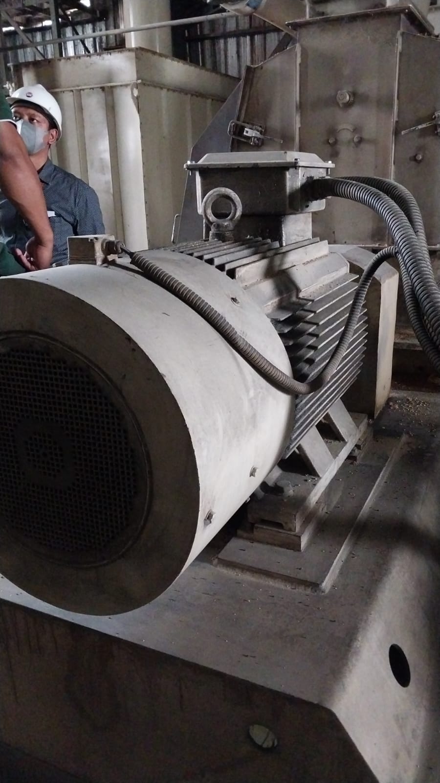 Stator winding